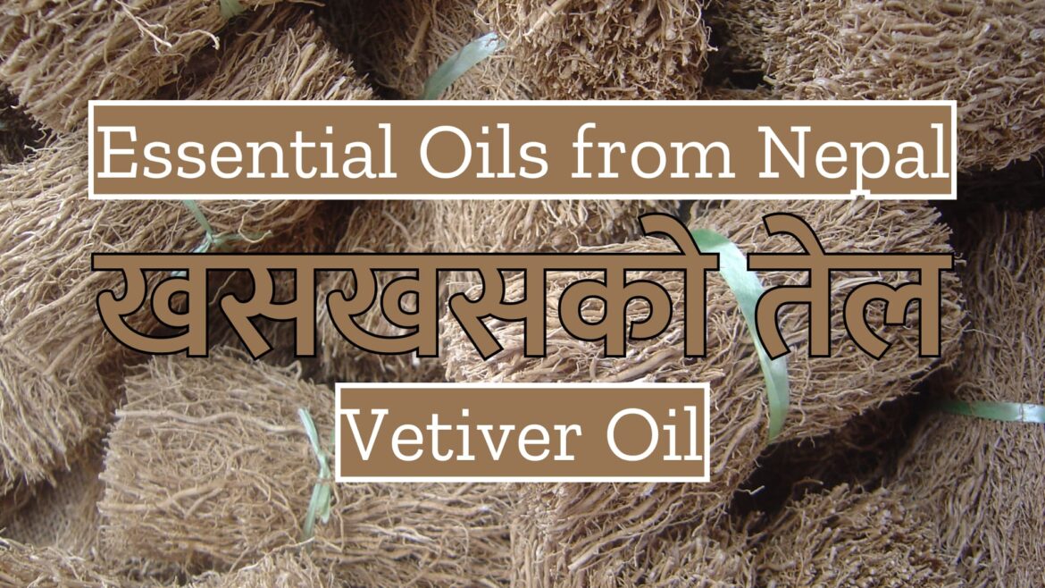 Essential Oils from Nepal : Vetiver Oil | खसखसको तेल