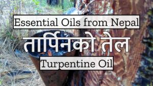 05 EOON – Turpentine Oil _ तार्पिनको तेल