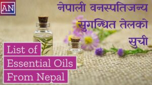 List of Essential Oils from Nepal Feature Image