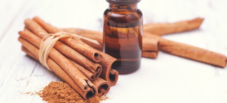 Cinnamon Oil or Tejpat Oil