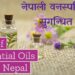 List of Essential Oils from Nepal