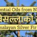 06 EOON - Himalayan Fir Oil _ गोब्रेसल्लाको तेल