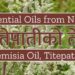 EOON - Artemisia Oil or Titepati Oil _ तितेपातीको तेल