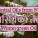 Wintergreen Oil, धसिँग्रेको तेल