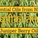 Juniper Berry Oil, धूपीको तेल