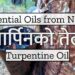 Turpentine Oil तार्पिनको तेल